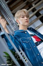 All 감각을 깨우다 푸른나무재단 사이버폭력 예방 캠페인 treeplanet 반려나무 naver ch+ blackpink monster . 200120 Seventeen X Naver X Dispatch Hd Seventeen Ode To You World Tour In La Odetoyouwithsvt Nowsvt Oty Odetoyou Hoshi Seventeen Seventeen Seventeen Kpop