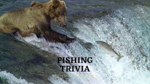 Zoe samuel 6 min quiz sewing is one of those skills that is deemed to be very. 101 Fishing Trivia Facts Questions With Answers Printable Trivia Qq