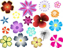 Maybe you would like to learn more about one of these? Different Types Of Flowers 1951126 Larastock