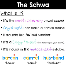 Schwa usage varies greatly between dialects. What Is The Schwa Sarah S Teaching Snippets