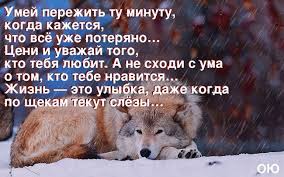 умей пережить ту минуту когда кажется что всё уже потеряно Mudrost Mudrye Citaty Pravdivye Citaty Umnye Citaty