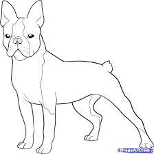 Color in this picture of an boston terrier and others with our library of online coloring pages. Boston Terrier Coloring Pages Printable Coloring Home