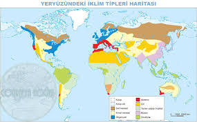 Doğal bitki örtüsü çalı, yosun ve yazın yeşeren kurakçıl otlardan oluşan tundralardır. Yeryuzundeki Baslica Iklim Tipleri Cografya Hocasi