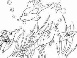 Es lohnt sich öfters mal vorbeizuschauen, da immer neue bastelvorlagen für kinder & senioren dazu kommen! Fische Schablonen Ausdrucken 1ausmalbilder Com