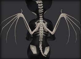 Check Out This Second Life Marketplace Item Bat Wings Wings Drawing Skeleton Drawings