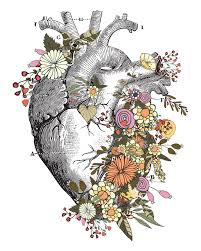 80 91 poppy flower poppy. Heart With Flowers Framed Art Print By Theriverprint Vector Black Medium Gallery 20x26 Anatomical Heart Art Human Anatomy Art Human Heart Drawing