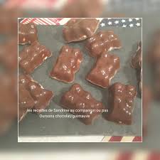 Oursons Chocolat Guimauve Recette Facile Et Inratable Les Recettes De Sandrine Au Companion Ou Pas Recette Facile Recette Recette Guimauve