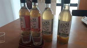 Sabiduría ancestral en buen parte de sudamérica, pero especialmente en la argentina, existe la extendida tradición de tomar ese día … Se Realiza La Primera Fiesta De Cana Con Ruda De Santa Fe Sol 91 5