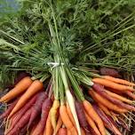St. Johnsbury Farmers’ Market