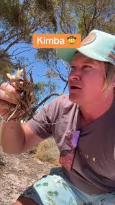 Discover the Charm of Kimba, Australia