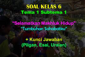 Soal penilaian harian tema 1 kelas 6 subtema 1 ini terdiri dari 15 nomor pilihan ganda dan 10 nomor essay. 35 Soal Ulangan Kelas 6 Tema 1 Selamatkan Makhluk Hidup Jawaban Muttaqin Id