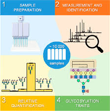 High-Throughput Glycomic Methods