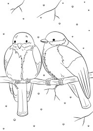 Click To See Printable Version Of Winter Birds Coloring Page Coloring Pages Winter Bird Coloring Pages Animal Coloring Pages