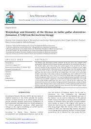 Conocido por su adaptación en el cine con una película con el mismo nombre y conocida como milagros inesperados en latinoamérica del año 1999. Pdf Morphology And Biometry Of The Thymus In Gallus Gallus Domesticus Linnaeus 1758 From The Isa Brow Lineage