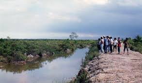 Salah satu hutan mangrove terbesar di jawa timur ini sering dikunjungi warga surabaya buat lepas dari kebisingan, panas dan macetnya surabaya yang seperti jakarta. Hutan Bakau Dan Ketamakan Manusia Batikimono