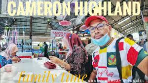Lokasi yang di tengah bandar tanah rata. Jalan Jalan Cameron Highland Youtube