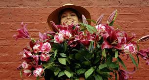 Best florist in downtown denver. Study Shows How Fresh Flowers Can Act Almost Like Medicine