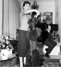 Maria callas was born maria anna sophia cecilia kalogeropoulou in new york on 2 december 1923 to greek immigrant parents evangelia and george kalogeropoulos. Maria Callas Em Casa Milao 1955