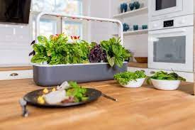 Click Grow Launches New Smart Garden 9 Digital Trends
