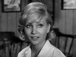 What are your top 5 most beautiful guest stars in The Fugitive?