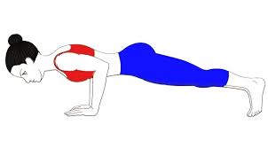 Press the hands into the ground. Plank Pose Adho Mukha Dandasana Steps And Benefits Sarvyoga Yoga