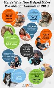 Find out why some cats like to eat cilantro mexican foods and what you should know before giving her first time. Aspca Aspca Profile Pinterest