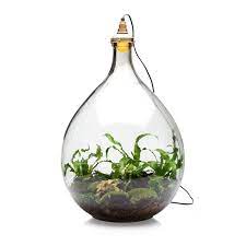 object of desire pendant lights from spruitje in norway gardenista bottle garden terrarium lights