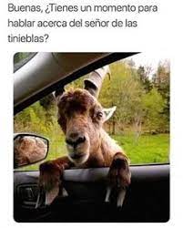 67 juegos de memes gratis agregados hasta hoy. 170 Ideas De Un Poco De Humor Macabro Humor Memes Divertidos Macabro