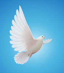 Lisa Jo Gerrish Obituary (2024)