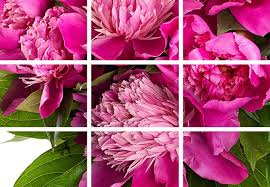 People say i am always snoring without you, what do i do, can't do a thing alone, get better soon cheerful friend , else i shall join you soon, just joking on that, kick the illness and. Get Well Soon Messages Get Well Soon Messages For Get Well Flowers
