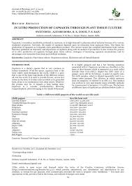 Plant cell suspension cultures have several advantages that make them suitable for the production of recombinant proteins. Pdf In Vitro Production Of Capsaicin Through Plant Tissue Culture