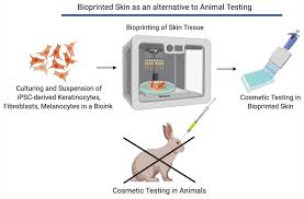 Public concern for the increasing use of animals in terms of ethics and safety provokes anxiety among the population. Bioprinting Of Human Skin Tissue Models For Cosmetic Testing To Replace Download Scientific Diagram