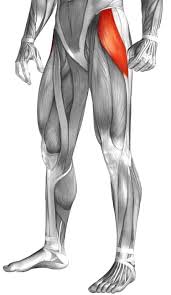 Pin On Sequoyah Chiropractic Exercises