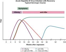 Hepatitis B