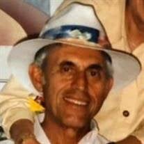 James S. Levy Obituary