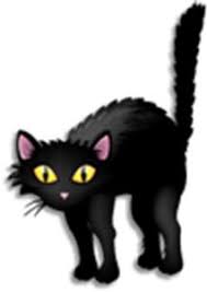 There are 22 natural pet dewormer for sale on etsy, and. Stray Cats And H1n1 Influenza Worms Germs Blog