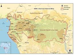 Aruwimi river, atlantic ocean, busira river, congo river, fimi river, giri river, ikelemba river, ituri river, kasai river, kwango river, kwilu river, lac the cia world factbook reports that the large number of refugees in democratic republic of the congo are responsible for significant amounts of. Wwf In The Congo Basin Wwf