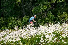 Choisissez votre sport, votre objectif et votre niveau pour trouver le programme d'entraînement jiwok qui vous correspond. Velo De Route Votre Plan D Entrainement Pour Debutant