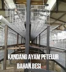 Kandang ayam sederhana dari kawat. Berikut Ukuran Kandang Ayam Petelur Dari Bambu Yang Ideal