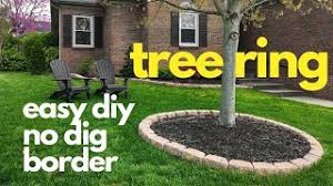 Free shipping on orders over $25 shipped by amazon. Easy Diy No Dig Border Tree Ring Youtube