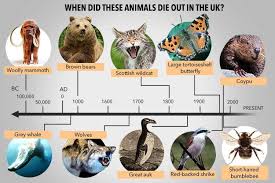 We keep some 7.7 million cats, 6.6 million dogs, one million budgerigars and 18 million goldfish. Mammoths Huge Bears And 6kg Rats Can You Believe These Exotic Animals Once Roamed The Uk