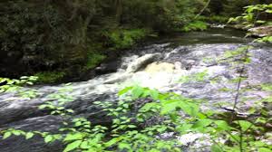 Information and current pa hunting regulations can be found through this link, as also can be found pa archery laws, season. H U N T F I S H P A Zonealarm Results