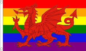 Albatros 3 ft x 5 ft 3x5 set (2 pack) uk wales welsh dragon cornwall flag banner for home and parades, official party, all weather indoors outdoors. Rainbow Welsh Dragon Flag Medium Mrflag