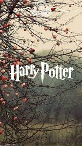 Wallpaper pinterest harry potter pictures. Harry Potter Autumn Wallpaper Harry Potter Background Harry Potter Iphone Wallpaper Harry Potter Wallpaper