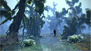 3d Model Of Borneo Forest Hd Rainforest Trees Forest Flowers Forest