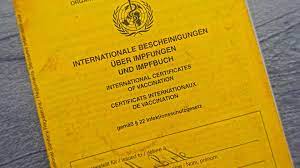 «sonst kann die einreise verweigert werden», sagt der experte. Reisen Ohne Gelbfieberimpfung Waiting Is Happiness