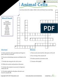 The crossword solver solves clues to crossword puzzles in the uk, usa & australia. Plant Animal Cell Crossword Cell Biology Cell Anatomy