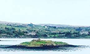 Mannion Island County Cork Ireland Let S Buy An Island