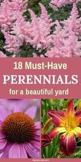 18 Low Maintenance Perennials Landscaping Plants Low Maintenance Garden Perennial Garden