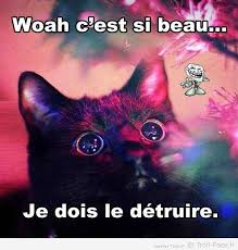 La Logique Des Chats Images Droles Blague Animaux Blague Chat